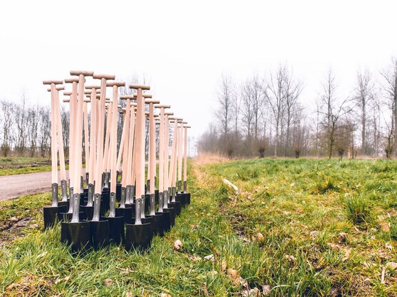 Wij planten weer 400 bomen 